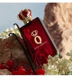 Q by Dolce & Gabbana - Parfum